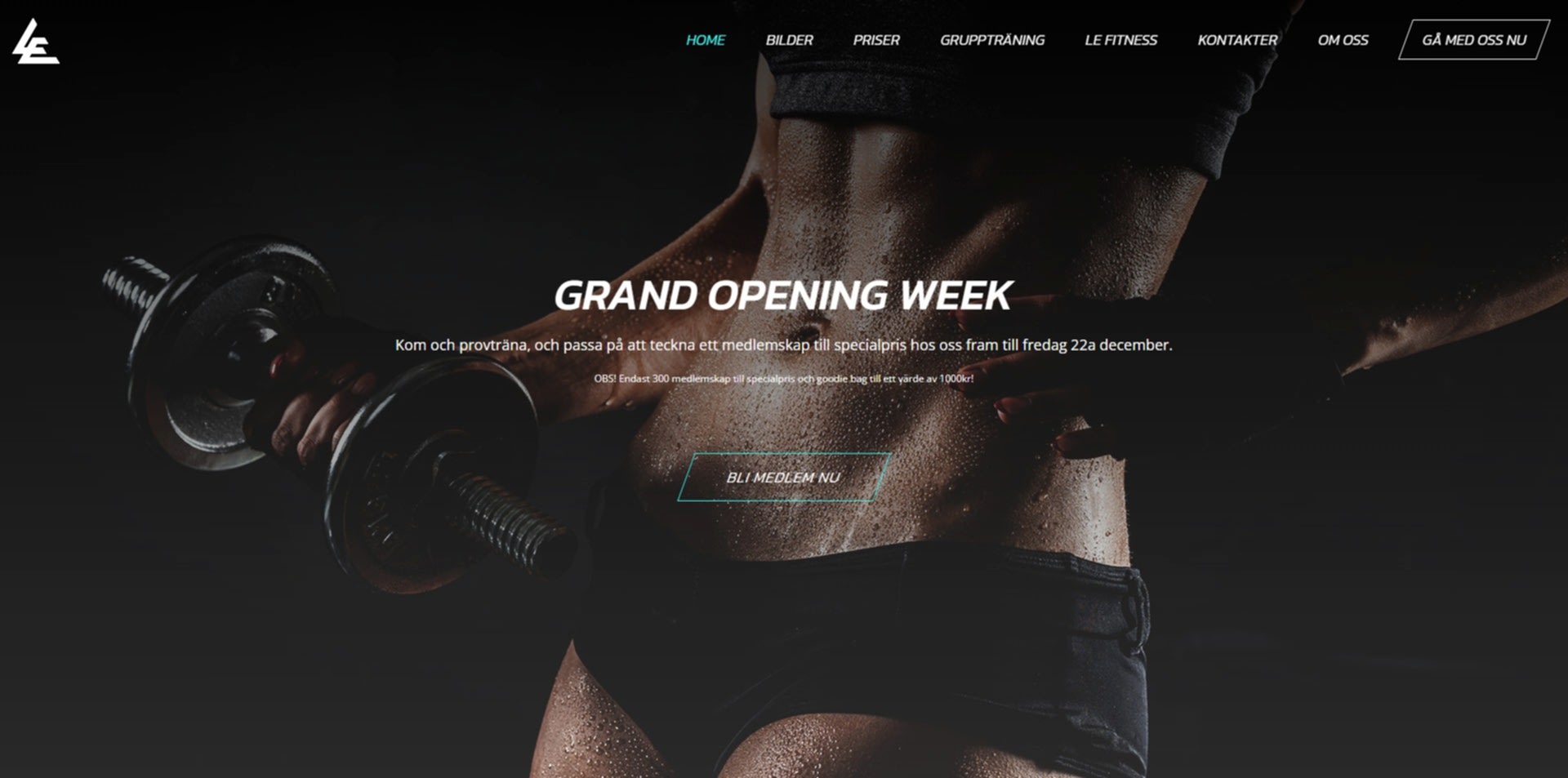 LE Fitness Sweden 285