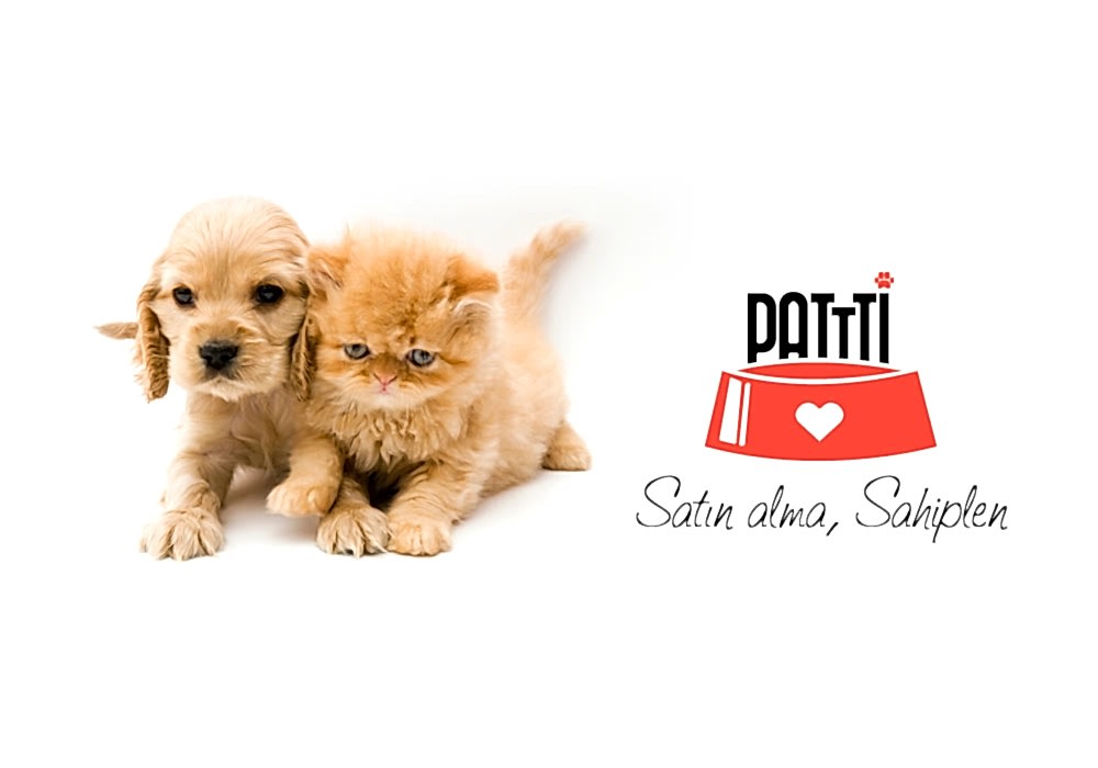 Patti Hayvan Sahiplendirme Sitesi 110